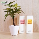 Dầu dưỡng tóc Arumik Hair Oil - Chai 100ML
