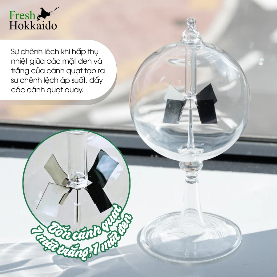 [penco] Dụng cụ đo bức xạ ánh sáng - Radiometer - Size S